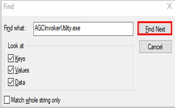 Adobe GC Invoker Utility
