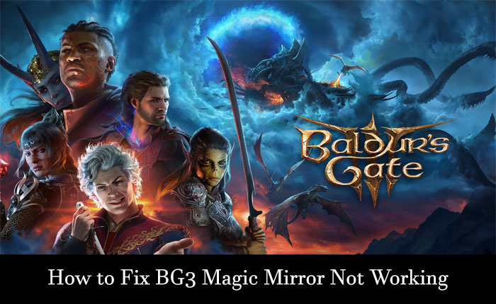 BG3 Magic Mirror Not Working