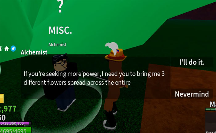 How to Get All Flowers in Blox Fruits