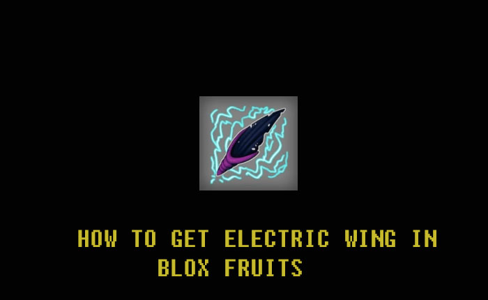 Electric Wing Blox Fruits