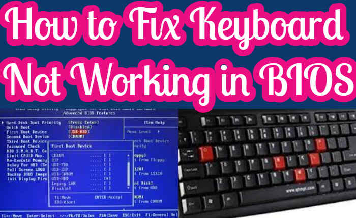 Keyboard Not Working in BIOS,