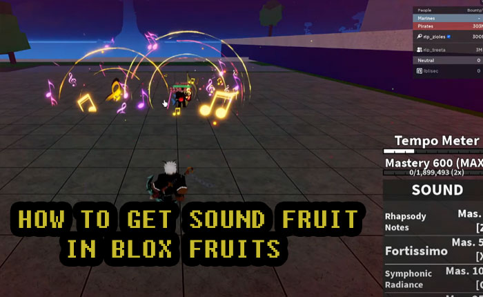 Sound Fruit in Blox Fruits  Info, Guide, Combos [UPDATE 20] ⭐