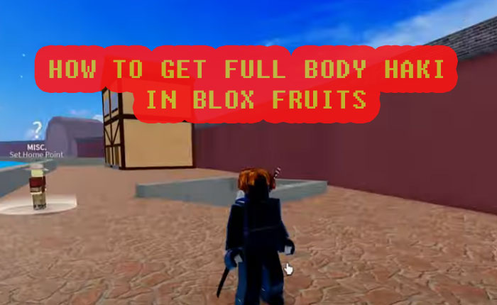 How To Get Haki in Blox Fruits