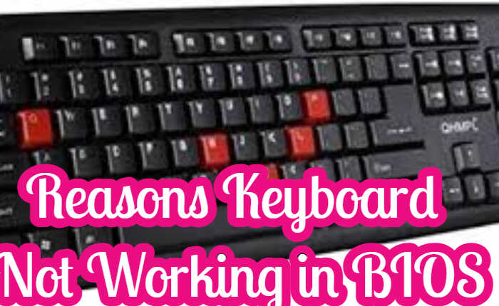 Reason Keyboard Not Working in BIOS
