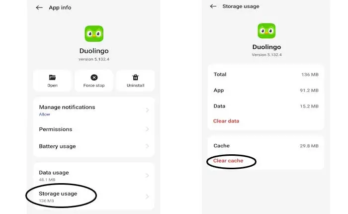 Duolingo Can't Sign in Issue