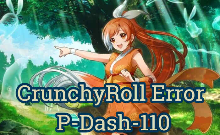 Crunchyroll Error P-Dash-110 Fix