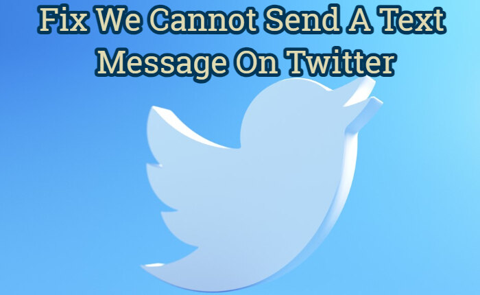 We Cannot Send A Text Message On Twitter