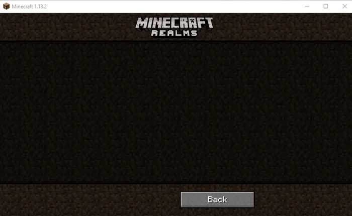 Minecraft Realm Not Loading