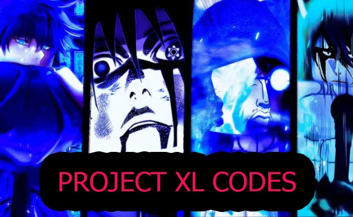 Project XL Codes
