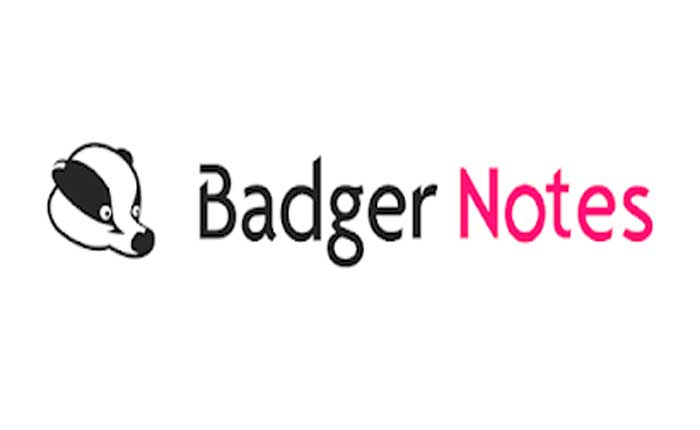 How To Fix Badger Notes Not Working