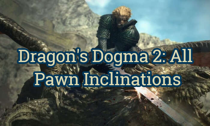 Dragon's Dogma 2 All Pawn Inclinations