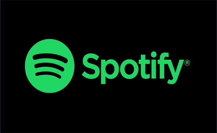 How To Fix Spotify Account Doesn't Send Password Reset