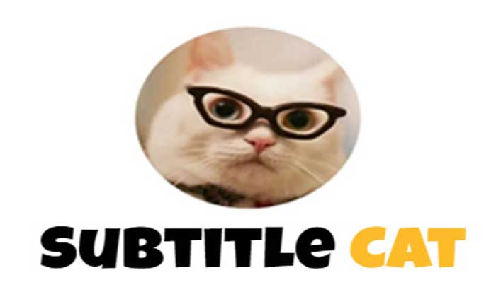 How To Fix Subtitle Cat Not Working