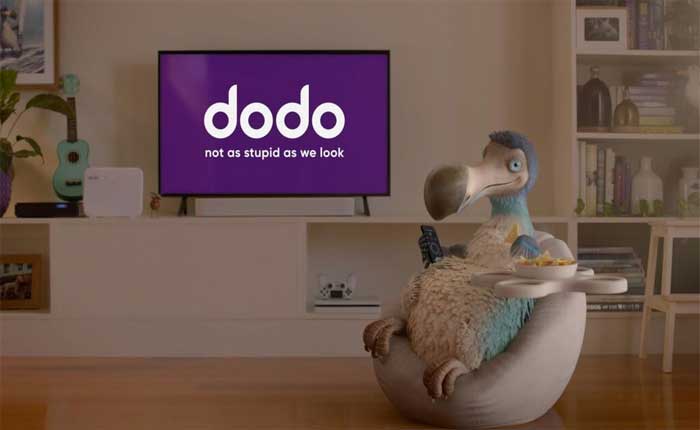 Dodo Internet Not Working